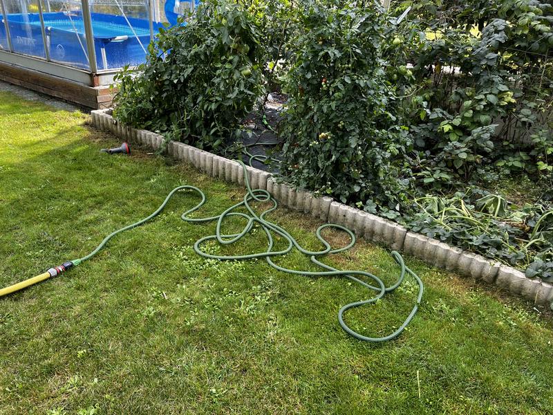 Revisione aperta modale 2 su 4