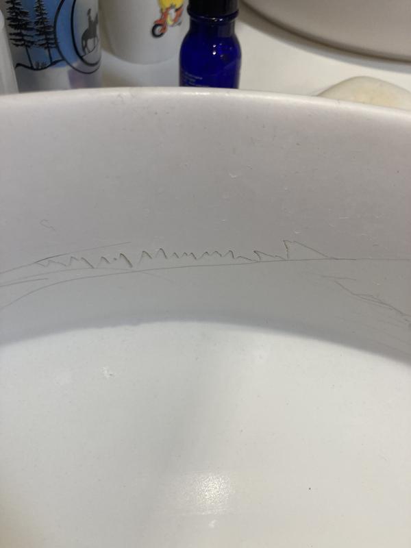 Revisione aperta modale 2 su 2