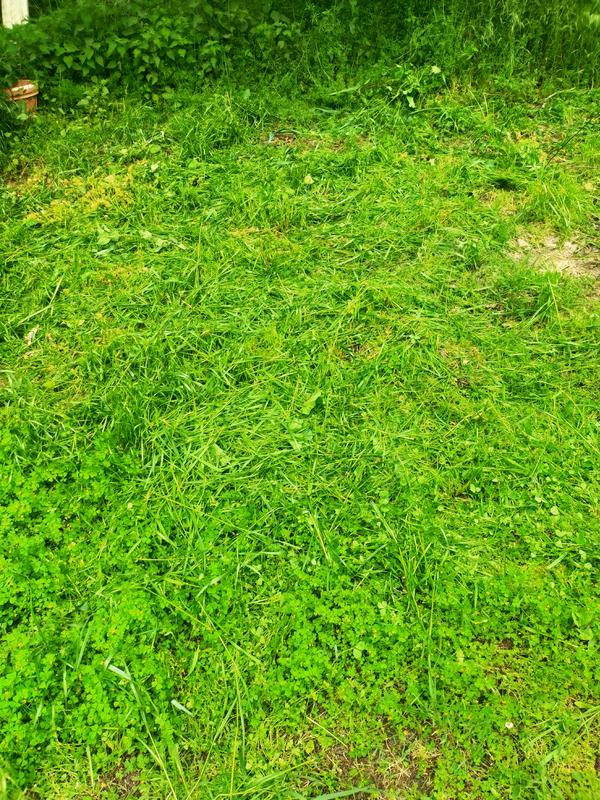 Ouvrir la fenêtre modale de l'avis 5 sur 5