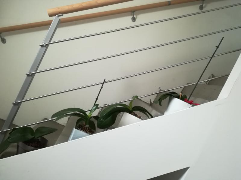 Ouvrir la fenêtre modale de l'avis 1 sur 1