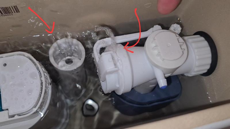 Revisione aperta modale 2 su 2