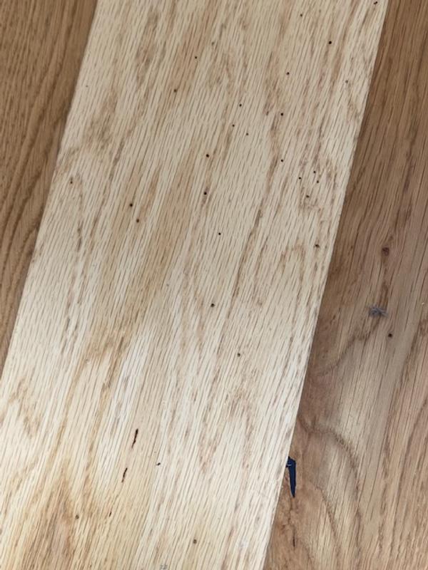 Ouvrir la fenêtre modale de l'avis 1 sur 1