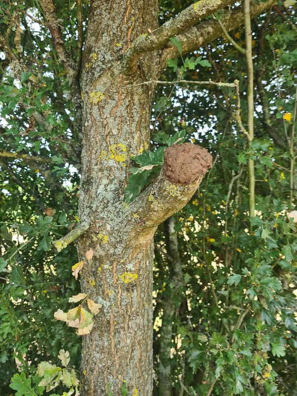 Ouvrir la fenêtre modale de l'avis 2 sur 2
