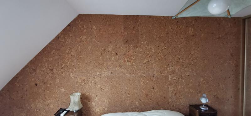 Ouvrir la fenêtre modale de l'avis 1 sur 1