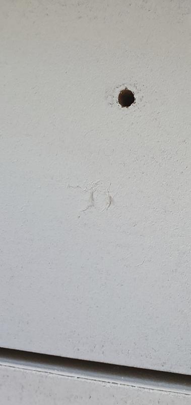 Revisione aperta modale 1 su 4