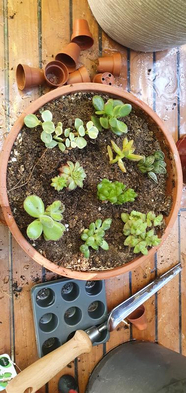 Ouvrir la fenêtre modale de l'avis 4 sur 4