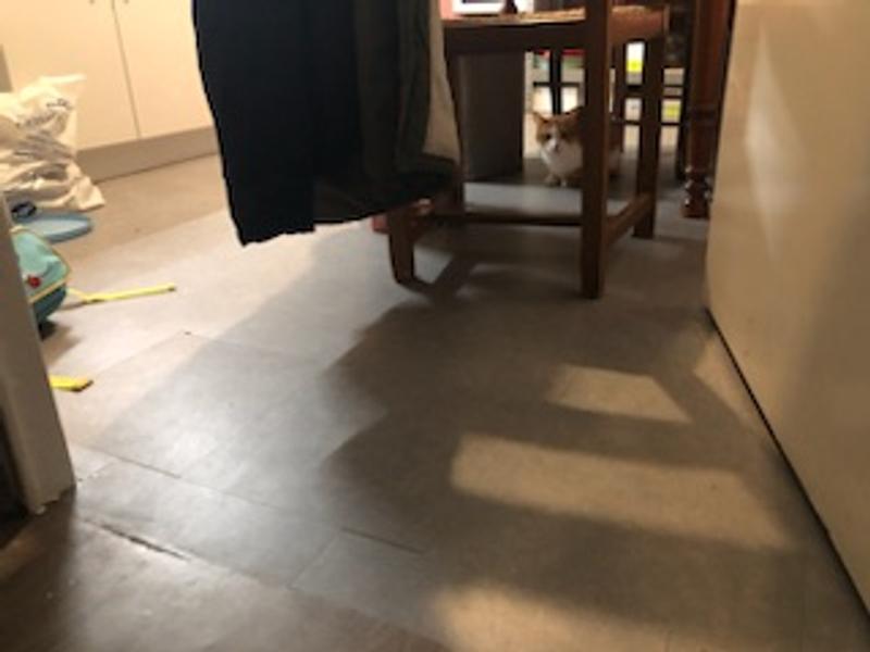 Abra o modal de avaliação 2 de 3