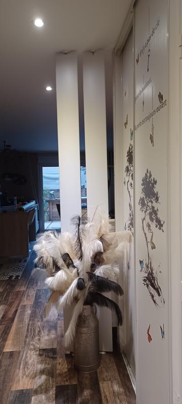 Ouvrir la fenêtre modale de l'avis 1 sur 2