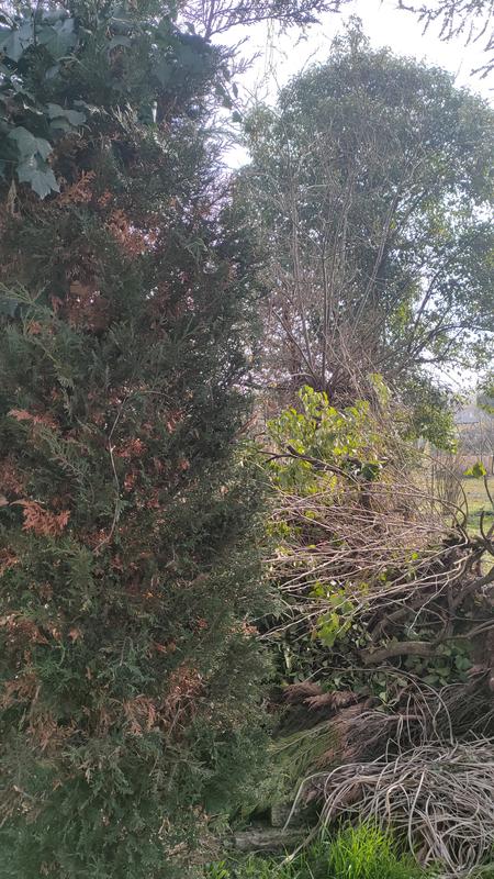 Ouvrir la fenêtre modale de l'avis 1 sur 2