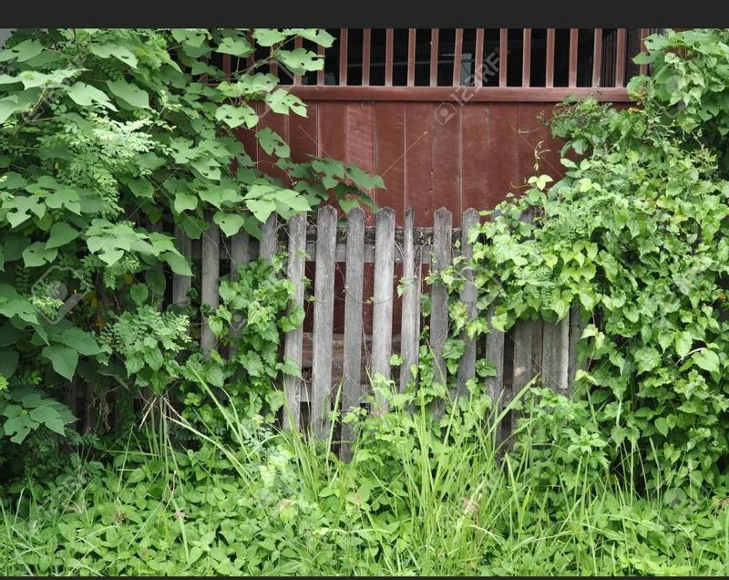 Abra o modal de avaliação 1 de 6