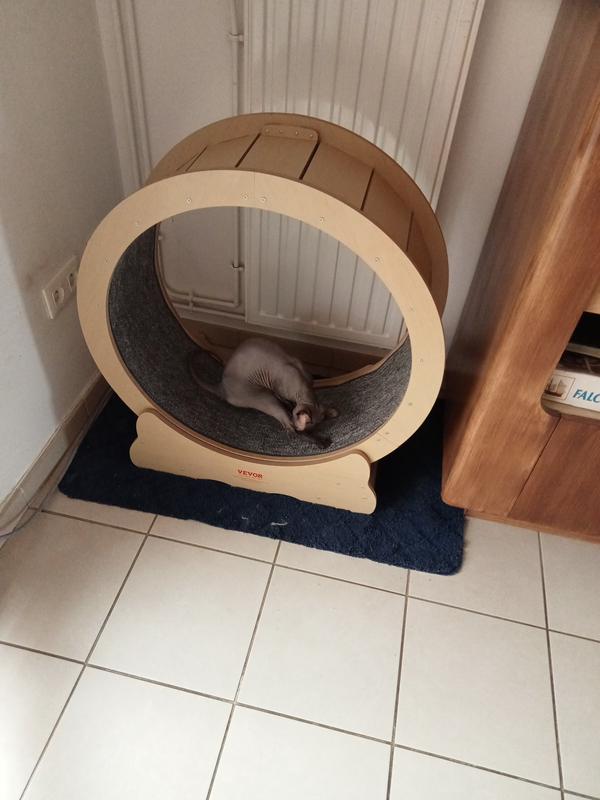 Ouvrir la fenêtre modale de l'avis 1 sur 1