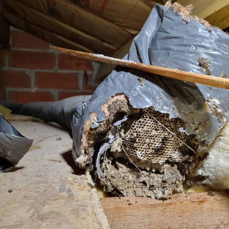 Ouvrir la fenêtre modale de l'avis 1 sur 4