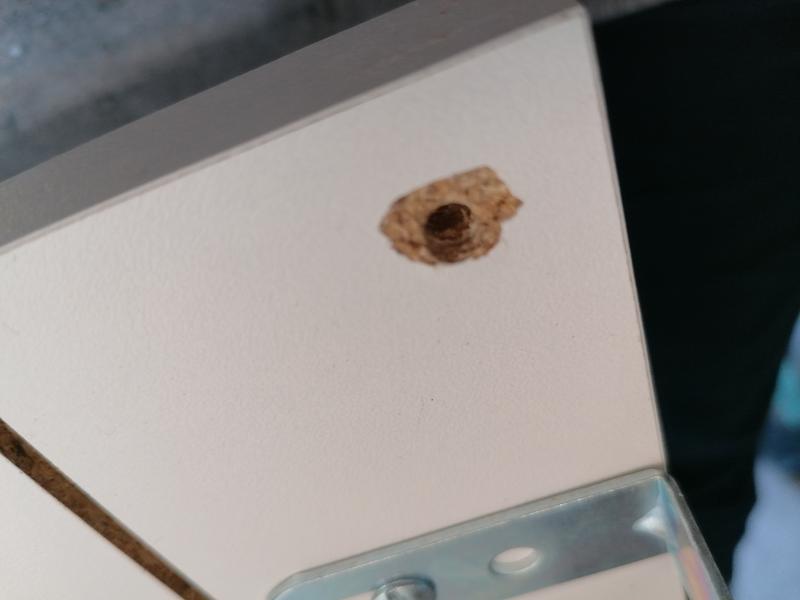 Otwórz okno opinii 1 na stronie 1