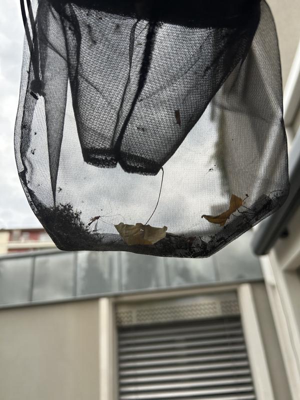 Ouvrir la fenêtre modale de l'avis 2 sur 2