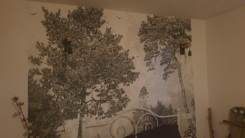 Abra o modal de avaliação 1 de 1