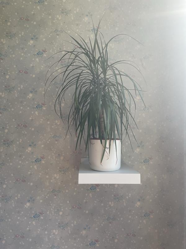 Revisione aperta modale 1 su 1