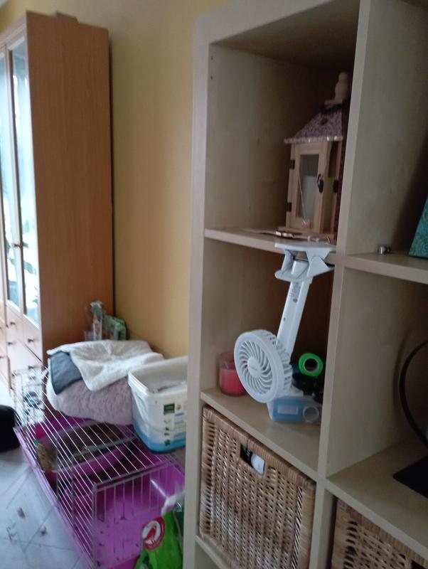 Ouvrir la fenêtre modale de l'avis 3 sur 3