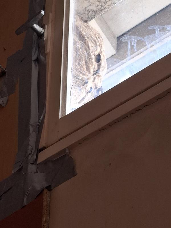 Ouvrir la fenêtre modale de l'avis 2 sur 5