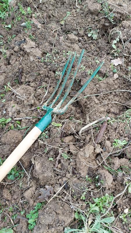 Abra o modal de avaliação 1 de 1