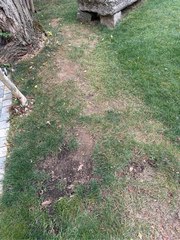 Revisione aperta modale 3 su 4