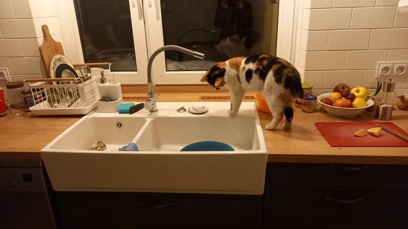 Ouvrir la fenêtre modale de l'avis 1 sur 1