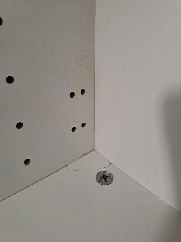 Revisione aperta modale 2 su 2