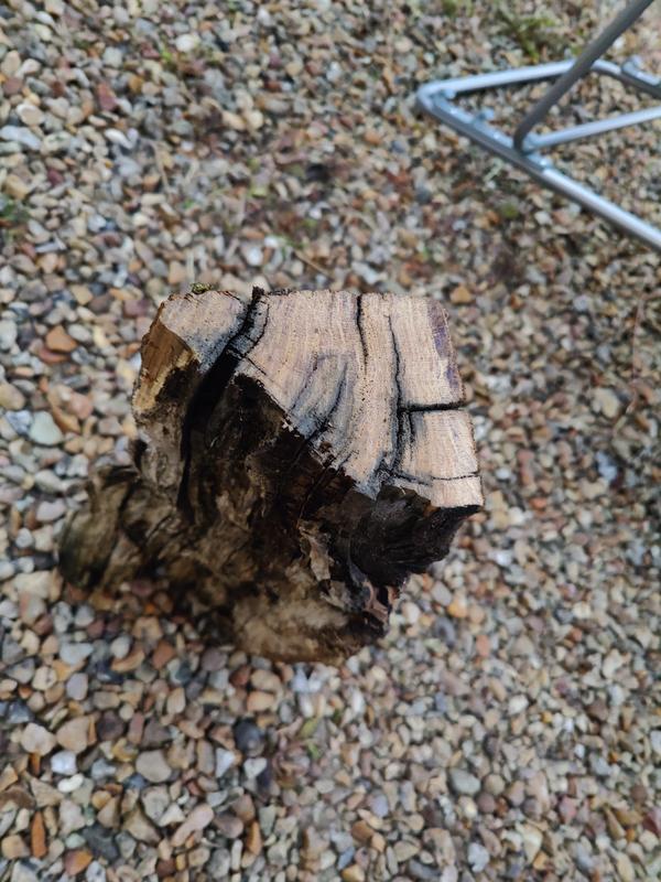 Ouvrir la fenêtre modale de l'avis 4 sur 4