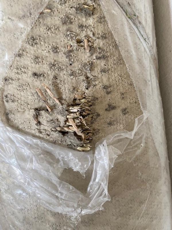 Ouvrir la fenêtre modale de l'avis 2 sur 2