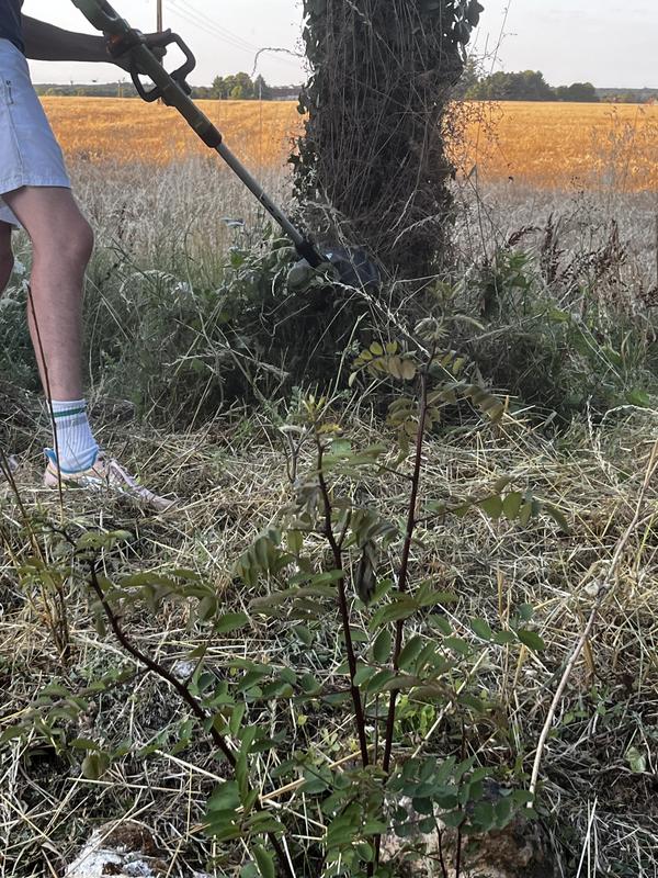 Ouvrir la fenêtre modale de l'avis 1 sur 3