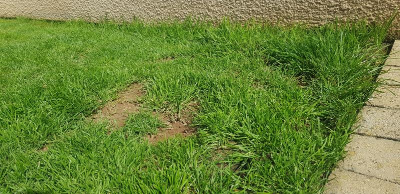 Ouvrir la fenêtre modale de l'avis 4 sur 6