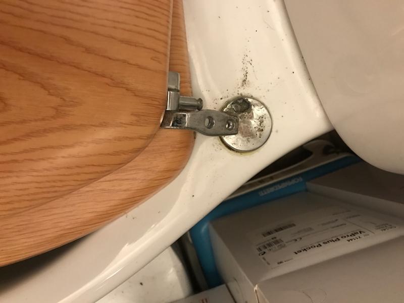 Ouvrir la fenêtre modale de l'avis 1 sur 1