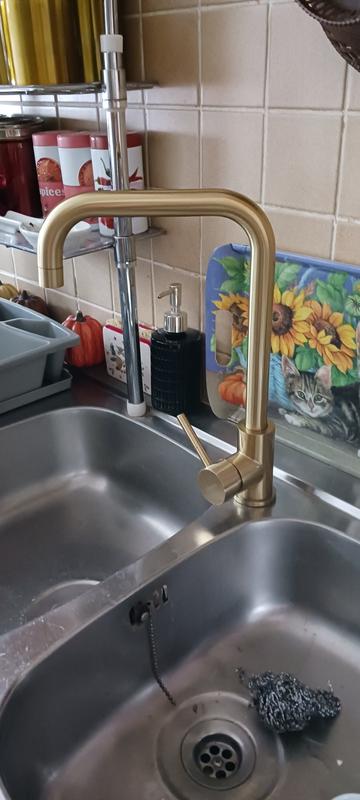 Revisione aperta modale 1 su 2