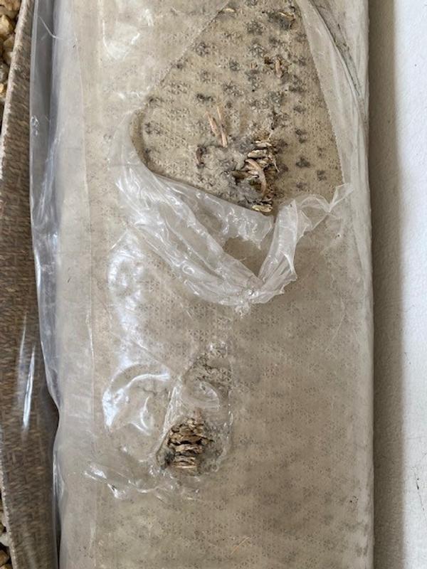 Ouvrir la fenêtre modale de l'avis 1 sur 2