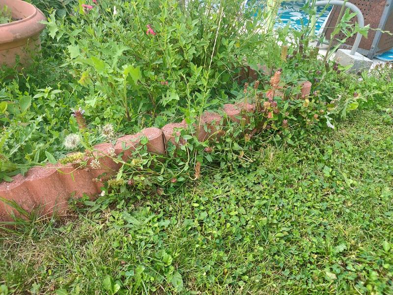 Ouvrir la fenêtre modale de l'avis 2 sur 5