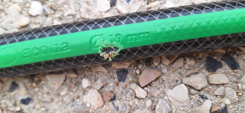 Ouvrir la fenêtre modale de l'avis 2 sur 2