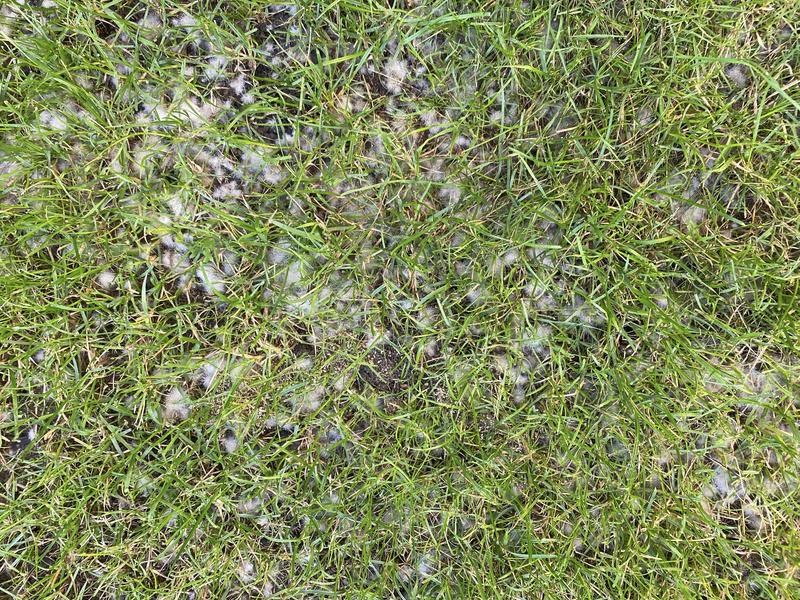 Ouvrir la fenêtre modale de l'avis 3 sur 5