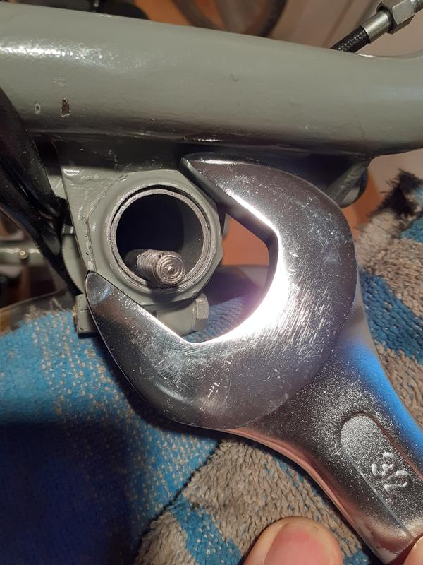 Revisione aperta modale 2 su 4