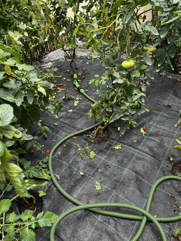 Revisione aperta modale 1 su 4