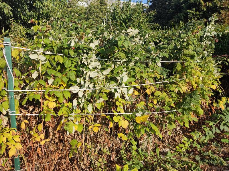 Ouvrir la fenêtre modale de l'avis 1 sur 2