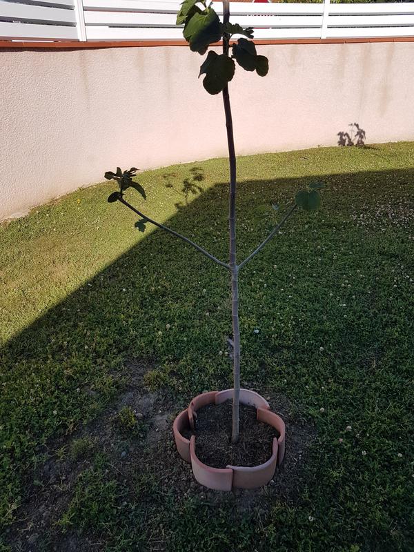 Ouvrir la fenêtre modale de l'avis 1 sur 1