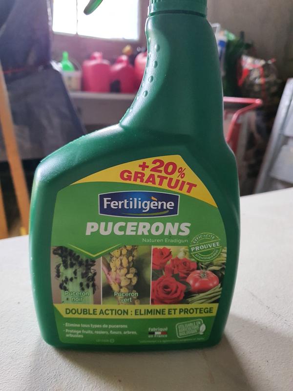 Ouvrir la fenêtre modale de l'avis 1 sur 1