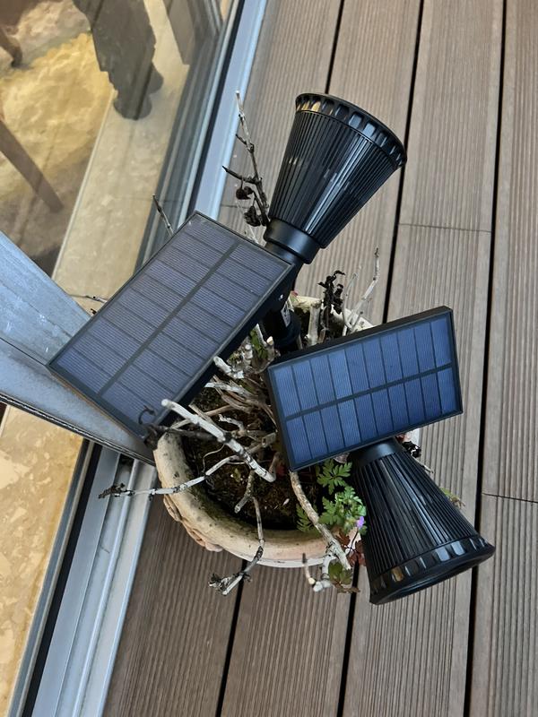 Ouvrir la fenêtre modale de l'avis 1 sur 1