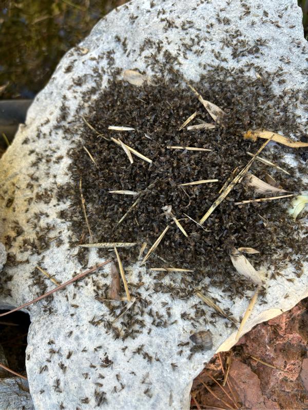 Ouvrir la fenêtre modale de l'avis 2 sur 2