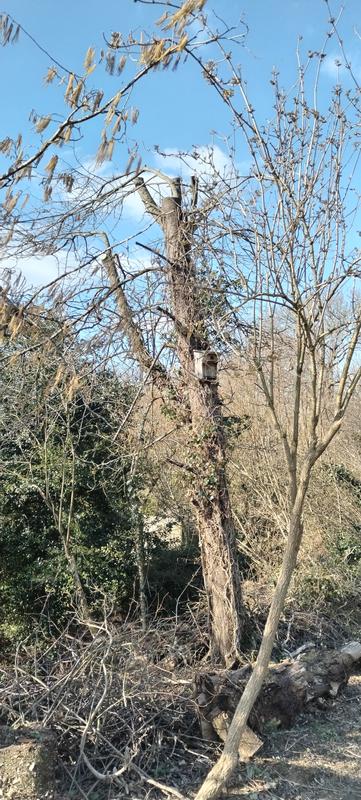 Ouvrir la fenêtre modale de l'avis 6 sur 6