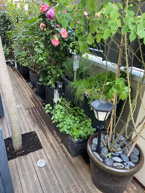 Abra o modal de avaliação 2 de 2