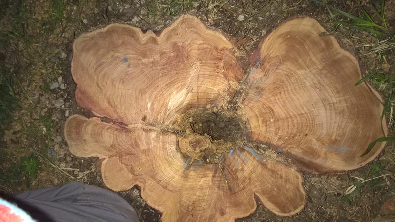 Ouvrir la fenêtre modale de l'avis 1 sur 1