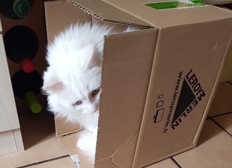 Ouvrir la fenêtre modale de l'avis 2 sur 2