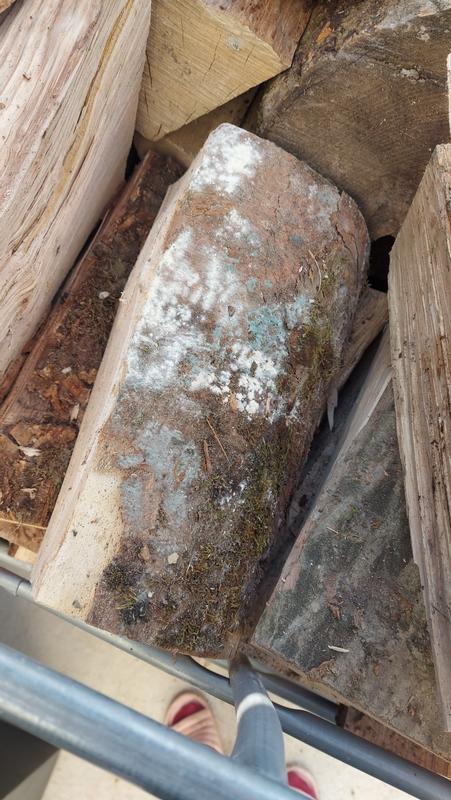 Ouvrir la fenêtre modale de l'avis 1 sur 1