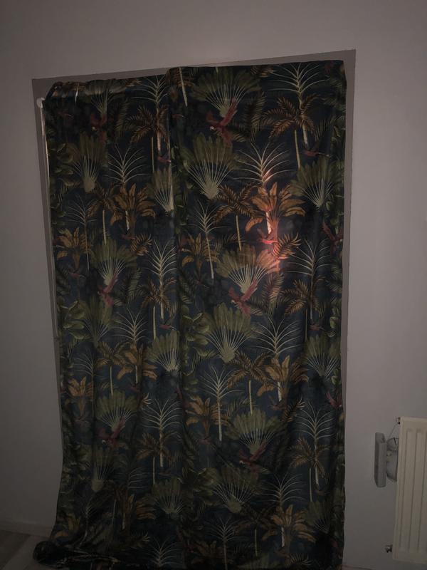 Abra o modal de avaliação 1 de 1