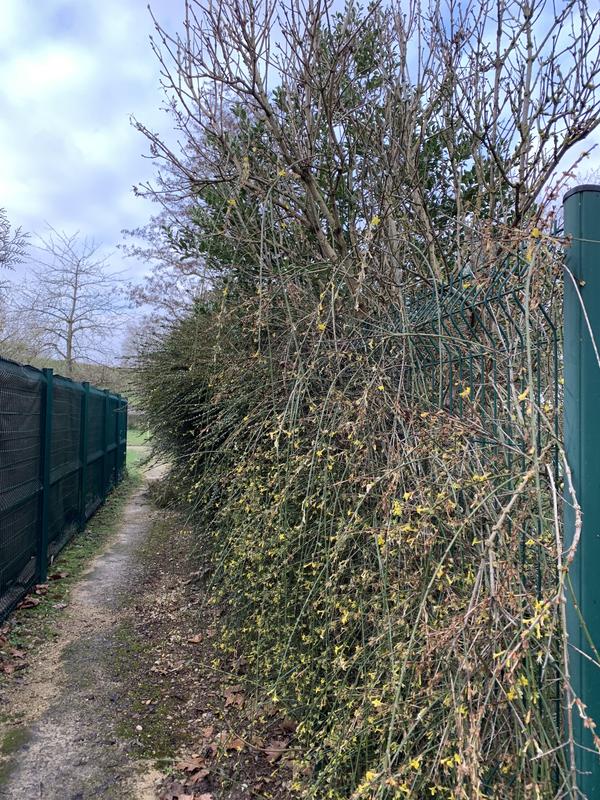 Ouvrir la fenêtre modale de l'avis 4 sur 6